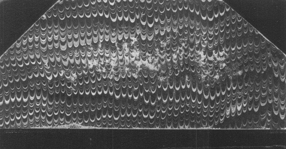 Princess Towers / Analogues of May / Hsein