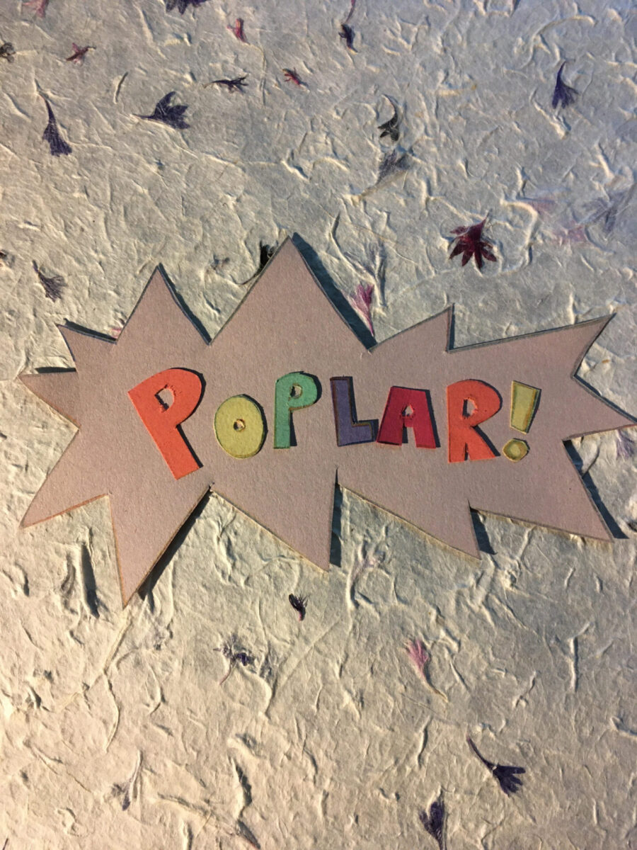 Poplar / Jenny Lapp / Liam Fenton