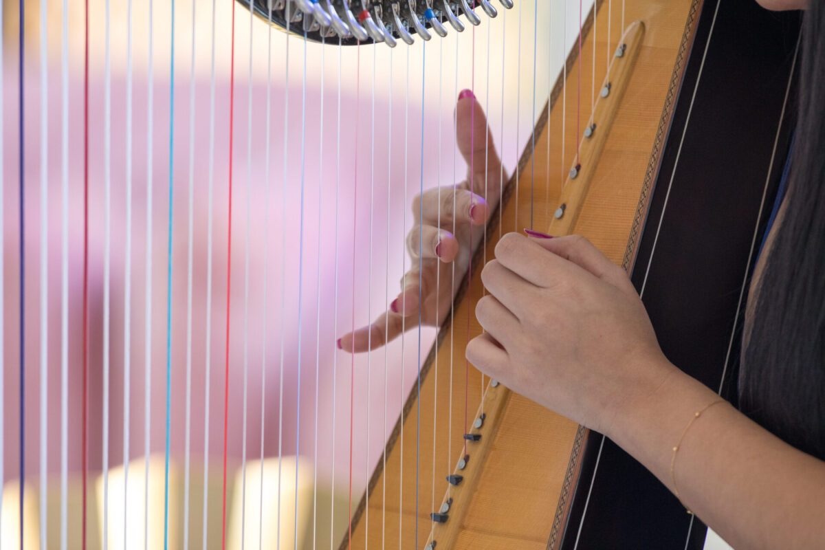 Jess Rose Harpist