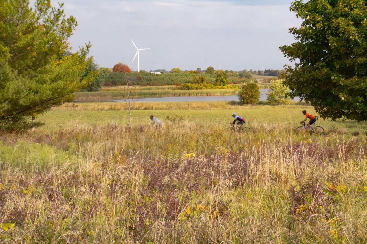 2768 - Wolfe Island Gravel Grinder, October 2025 - by Carlos Gouveia