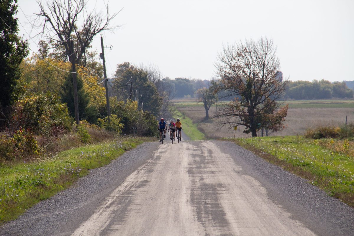2814 - Wolfe Island Gravel Grinder, October 2025 - by Carlos Gouveia